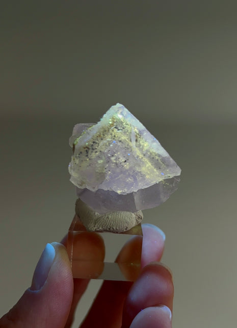 New Arrival ! Galaxy Fluorite