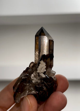 Smoky Quartz from Mont Blanc PM0989