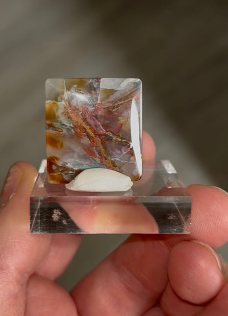 New ! Copper Ore and Blue Chrysocolla in Chalcedony !