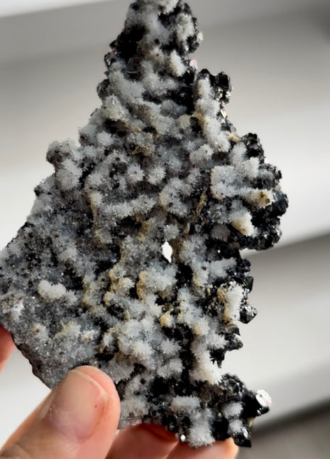 Rainbow Sphalerite with Quartz Flowers PM1228