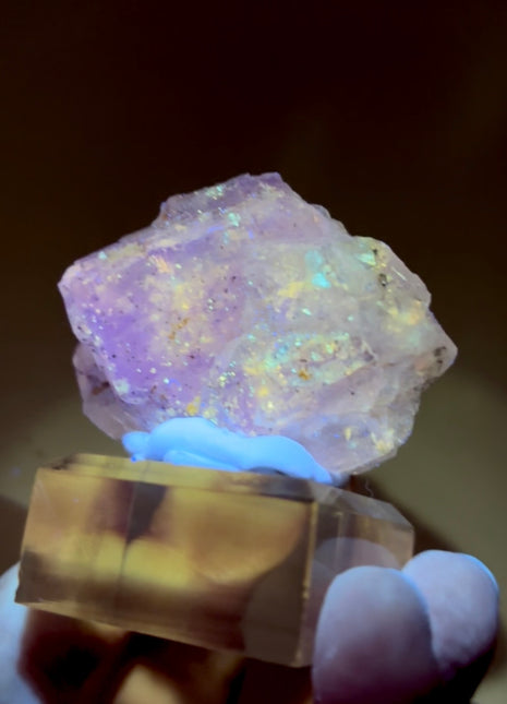 New Arrival ! Galaxy Fluorite