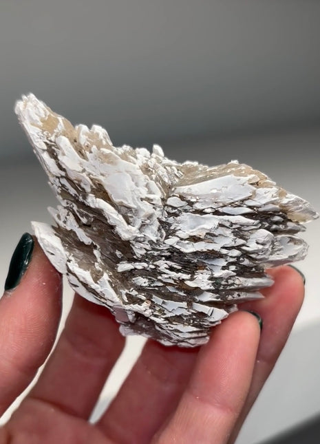 Snowy 🌲 ❄️ Selenite - from Germany