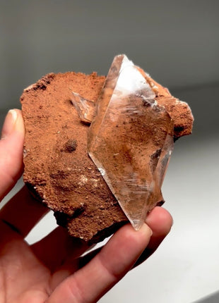 Very Clear Selenite from Mexico