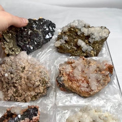 Collection image for: Minerals from Trepca mine
