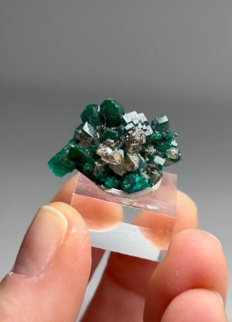 Green Dioptase Specimen