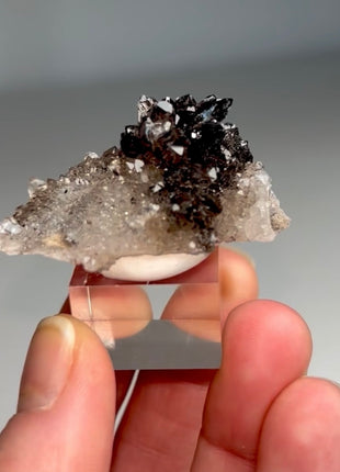 Rare Black Herkimer from New York