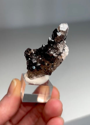 Rare Black Herkimer from New York