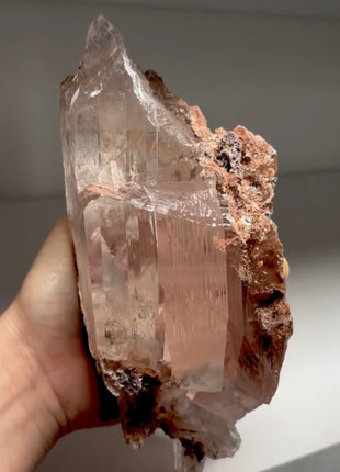 Huge Selenite from Mexico