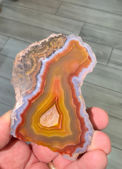 Amazing Color ! Agate Collection # 823