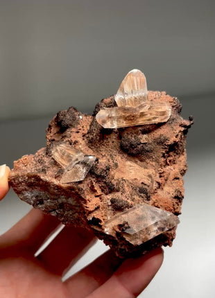 Very Clear Selenite from Mexico