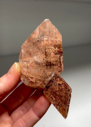 Very Clear Selenite from Mexico