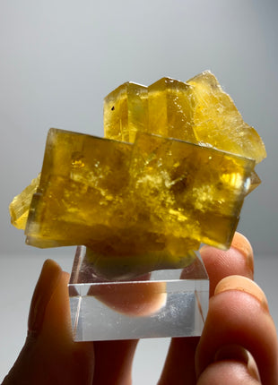 Yellow Fluorite with Blue Edges from Valzergues, France