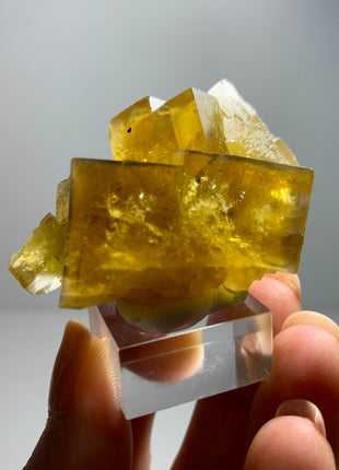 Yellow Fluorite with Blue Edges from Valzergues, France