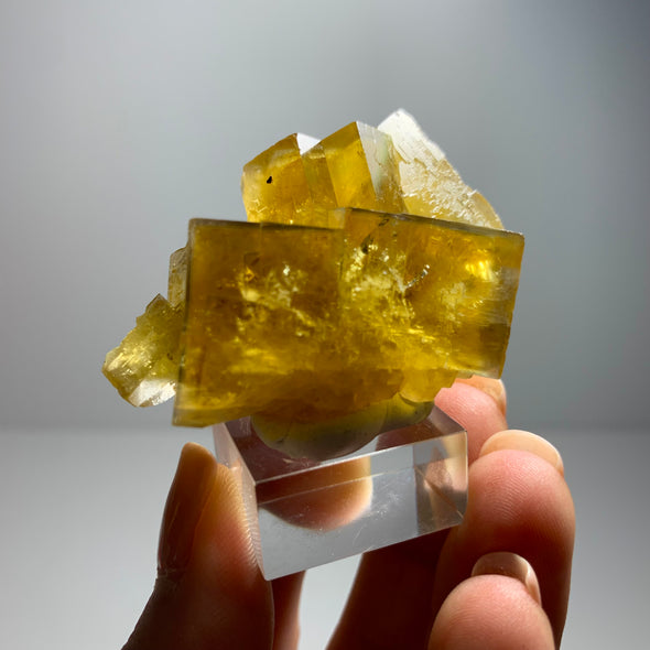 Yellow Fluorite with Blue Edges from Valzergues, France