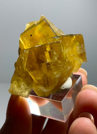 Yellow Fluorite with Blue Edges from Valzergues, France