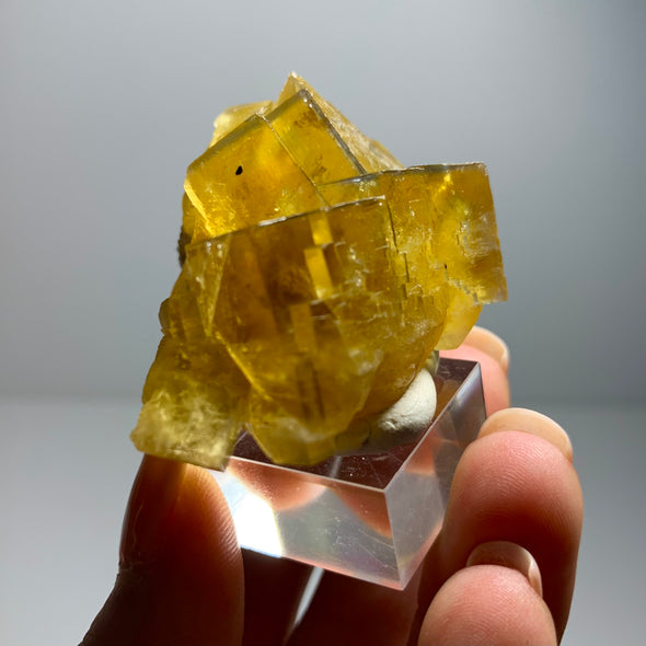 Yellow Fluorite with Blue Edges from Valzergues, France