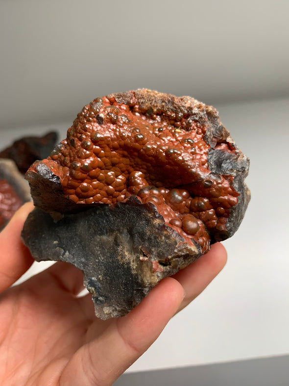 6 Pieces ! Red Crater Agate Geodes Lot - 1.6 KGS !