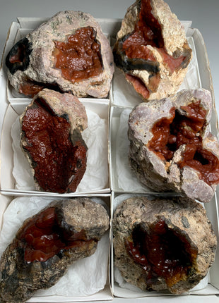 6 Pieces ! Red Crater Agate Geodes Lot - 2.5 KGS !