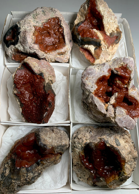 6 Pieces ! Red Crater Agate Geodes Lot - 2.5 KGS !