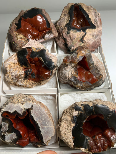 6 Pieces ! Red Crater Agate Geodes Lot - 3.6 KGS !