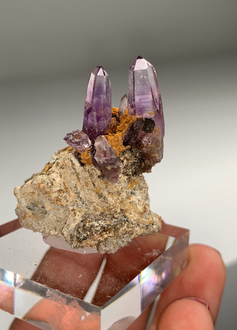 New Arrival ! Amethyst - From Guerrero, Mexico DWS