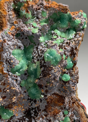 Rare ! Cuproadamite - From Ojuela mine, Mapimi, Mexico DWS