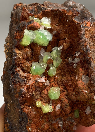 Rare ! Cuproadamite - From Ojuela mine, Mapimi, Mexico