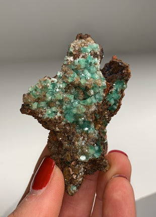 Rare ! Cuproadamite - From Ojuela mine, Mapimi, Mexico