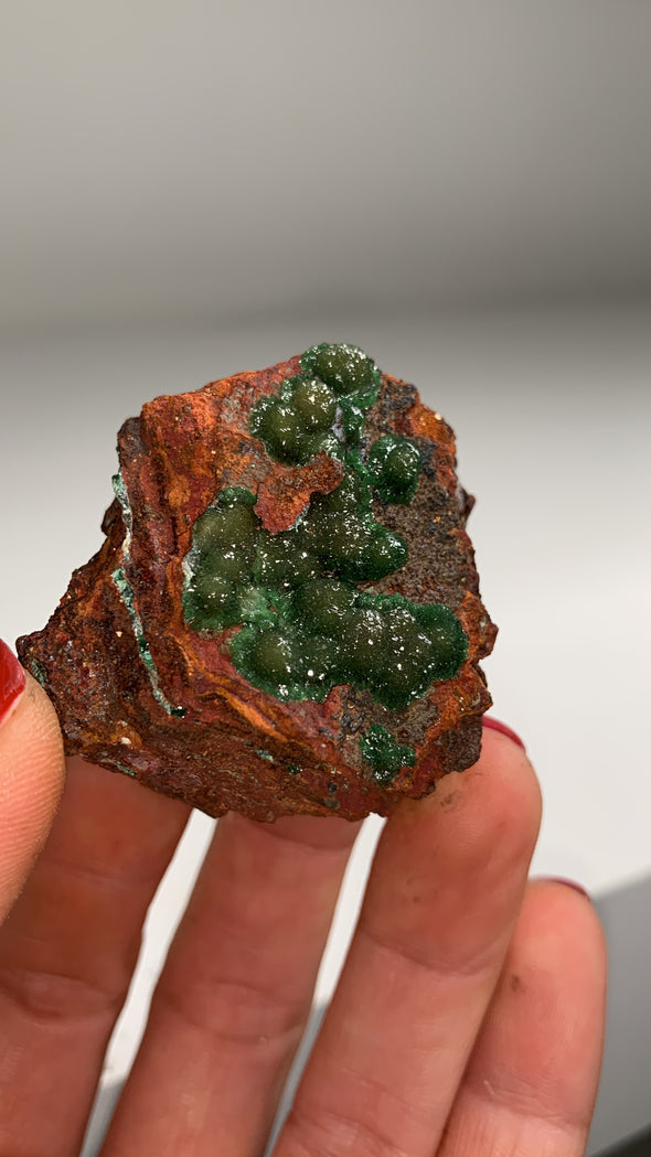 Rare ! Cuproadamite - From Ojuela mine, Mapimi, Mexico
