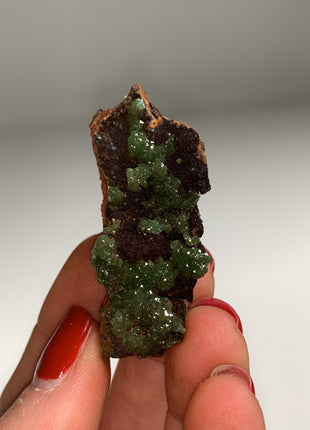 Rare ! Cuproadamite - From Ojuela mine, Mapimi, Mexico