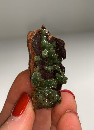 Rare ! Cuproadamite - From Ojuela mine, Mapimi, Mexico