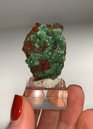 Rare ! Cuproadamite - From Ojuela mine, Mapimi, Mexico DWS