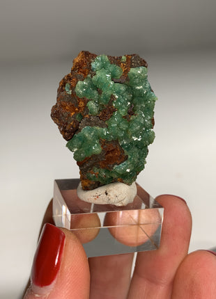 Rare ! Cuproadamite - From Ojuela mine, Mapimi, Mexico DWS