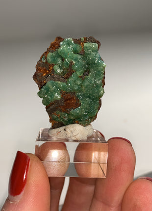 Rare ! Cuproadamite - From Ojuela mine, Mapimi, Mexico DWS