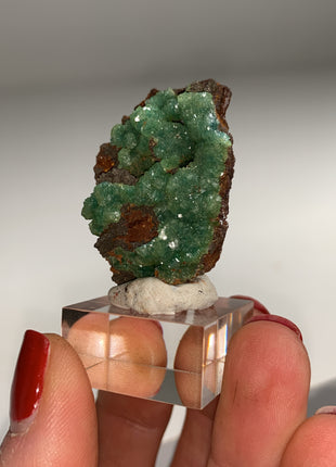 Rare ! Cuproadamite - From Ojuela mine, Mapimi, Mexico DWS