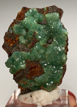 Rare ! Cuproadamite - From Ojuela mine, Mapimi, Mexico DWS