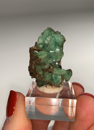 Rare ! Cuproadamite - From Ojuela mine, Mapimi, Mexico