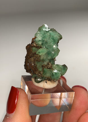 Rare ! Cuproadamite - From Ojuela mine, Mapimi, Mexico