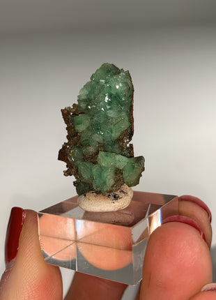 Rare ! Cuproadamite - From Ojuela mine, Mapimi, Mexico