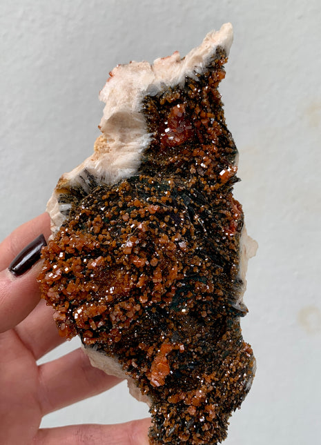 Red Vanadinite with Amazing Black Barite - From Midelt, Morocco