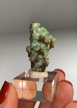 Rare ! Cuproadamite - From Ojuela mine, Mapimi, Mexico