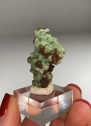 Rare ! Cuproadamite - From Ojuela mine, Mapimi, Mexico