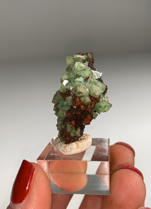 Rare ! Cuproadamite - From Ojuela mine, Mapimi, Mexico