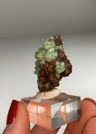 Rare ! Cuproadamite - From Ojuela mine, Mapimi, Mexico