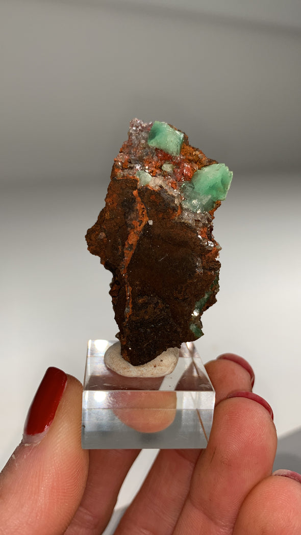 Rare ! Cuproadamite - From Ojuela mine, Mapimi, Mexico