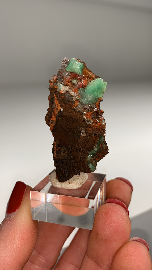 Rare ! Cuproadamite - From Ojuela mine, Mapimi, Mexico
