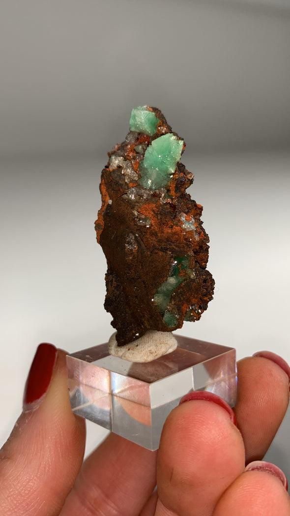 Rare ! Cuproadamite - From Ojuela mine, Mapimi, Mexico