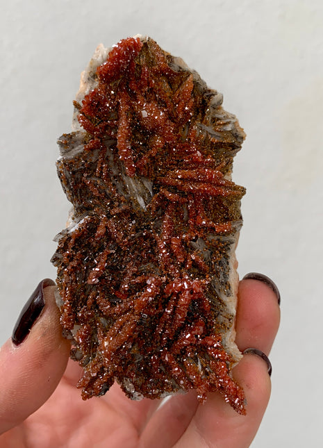 Red Vanadinite with Beautiful Barite - From Midelt, Morocco DWS