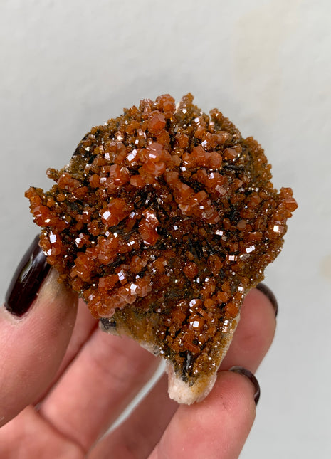 Red Vanadinite with Beautiful Barite - From Midelt, Morocco DWS