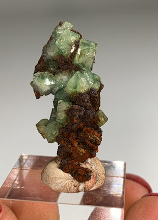 Rare ! Cuproadamite - From Ojuela mine, Mapimi, Mexico